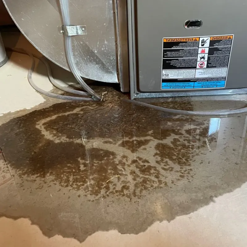 Pipe Burst and Leak Restoration in Punxsutawney, PA
