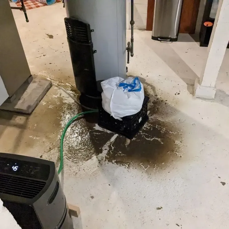 Sewage Backup Cleanup Service in Punxsutawney, PA